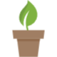 plant-1573